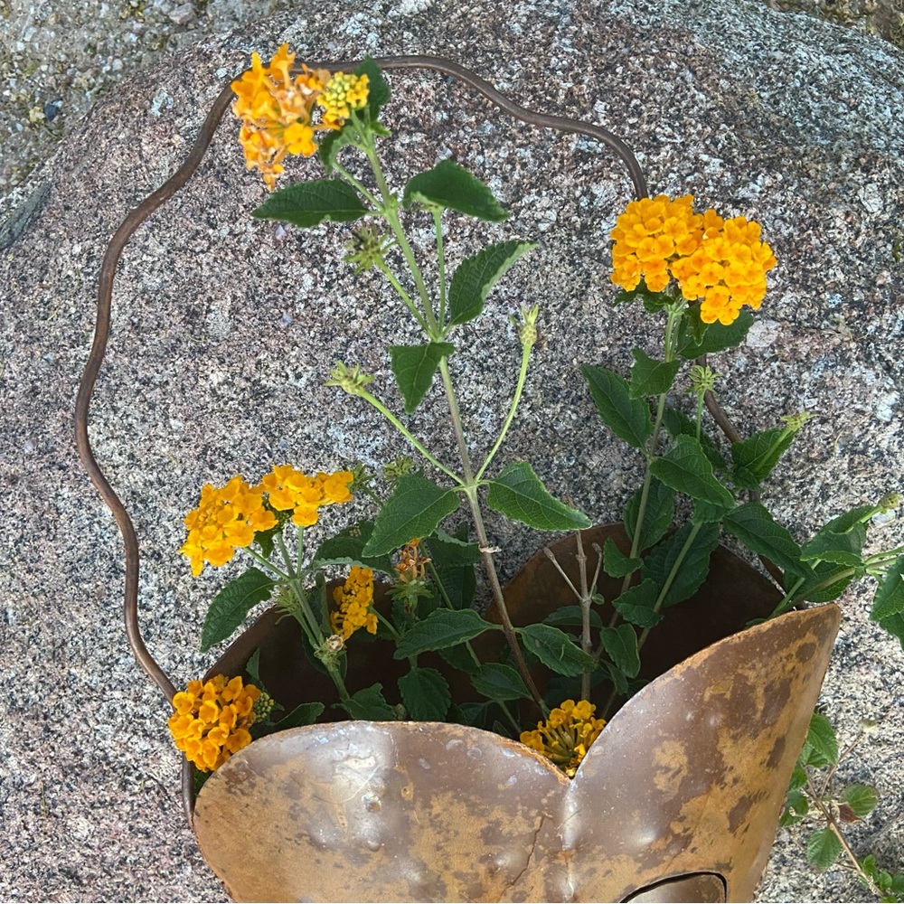 Rustic Metal Heart Flower/Plant Holder - Garden Art, 20" Including Hanger - Picture 3 of 11